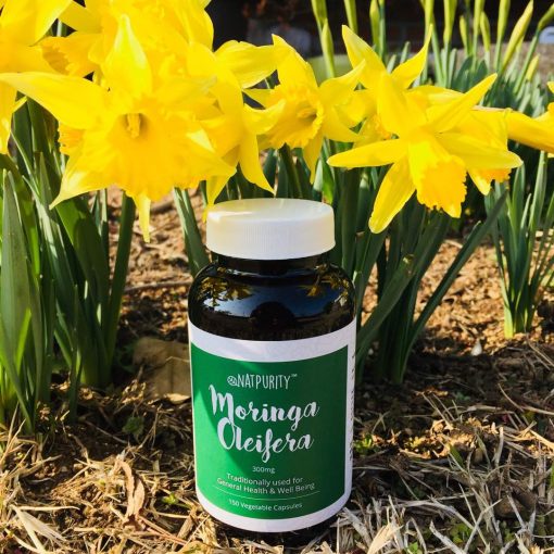 Natpurity Moringa