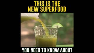 Moringa Oleifera - Quick Intro