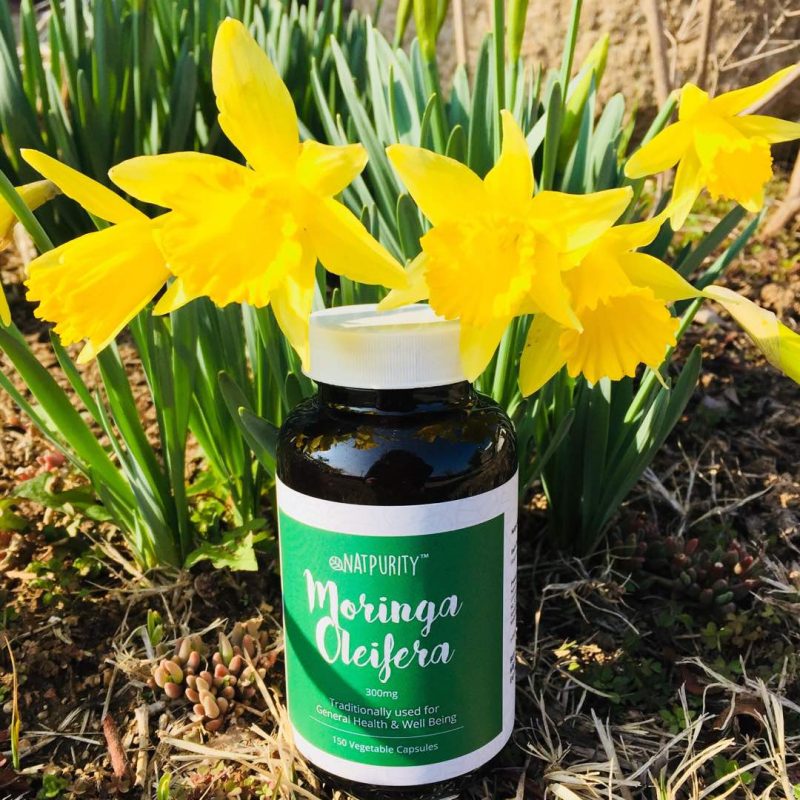 Top 3 Tips: How Moringa Oil Cures Ezcema 28 Moringa Oleifera Capsule Natural
