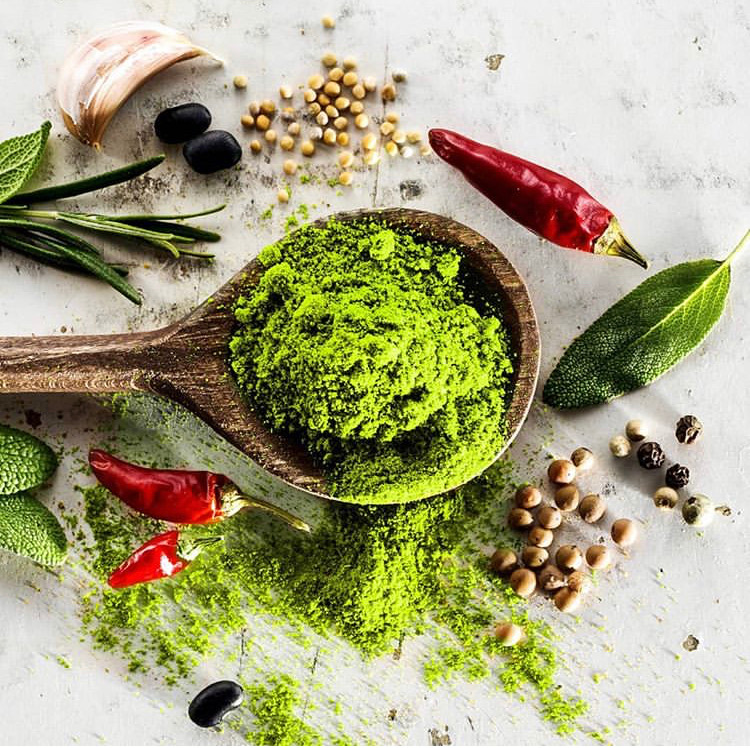 Moringa: The Superfood Packed with Vitamins, Nutrients and Antioxidants