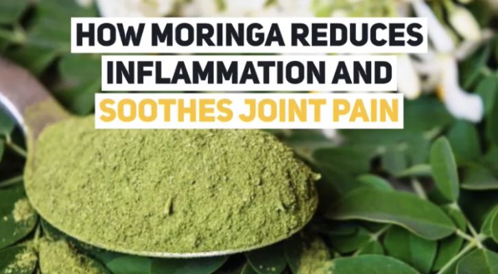 How Moringa Reduces Arthritis Inflammation And Soothes Joint Pain How Moringa Reduces Arthritis Inflammation And Soothes Joint Pain