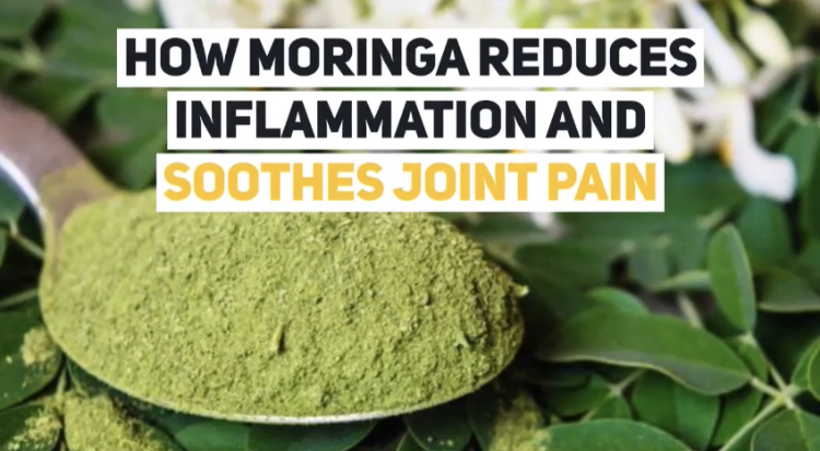 How Moringa Reduces Arthritis Inflammation And Soothes Joint Pain 4 | Natpurity - Moringa Health Supplements & Skincare Malaysia