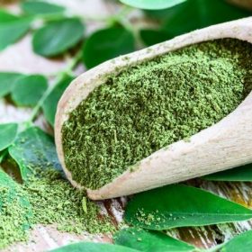 moringa cures diabetes